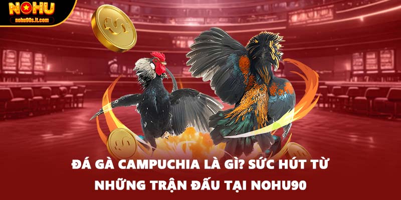 Đá Gà Campuchia Là Gì? Sức Hút Từ Những Trận Đấu Tại Nohu90
