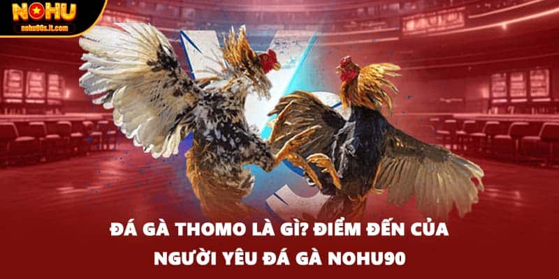 Đá Gà Thomo Là Gì? Điểm Đến Của Người Yêu Đá Gà Nohu90