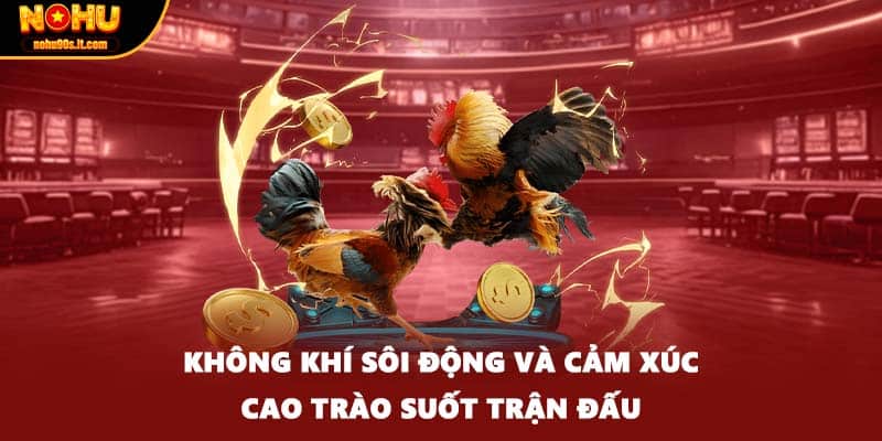 Không khí sôi động và cảm xúc cao trào suốt trận đấu