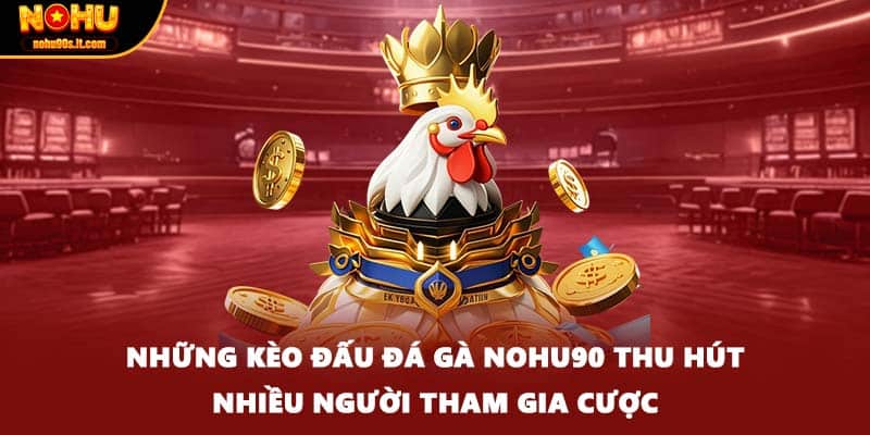 Những kèo đấu đá gà Nohu90 thu hút nhiều người tham gia cược