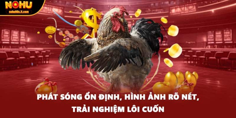 Phát sóng ổn định, hình ảnh rõ nét, trải nghiệm lôi cuốn