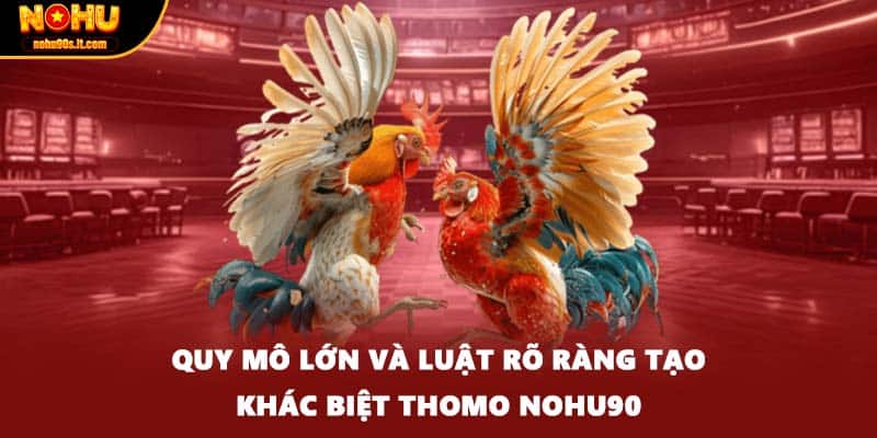 Quy mô lớn và luật rõ ràng tạo khác biệt Thomo Nohu90