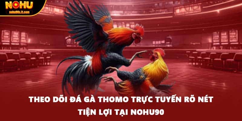 Theo dõi đá gà Thomo trực tuyến rõ nét tiện lợi tại Nohu90
