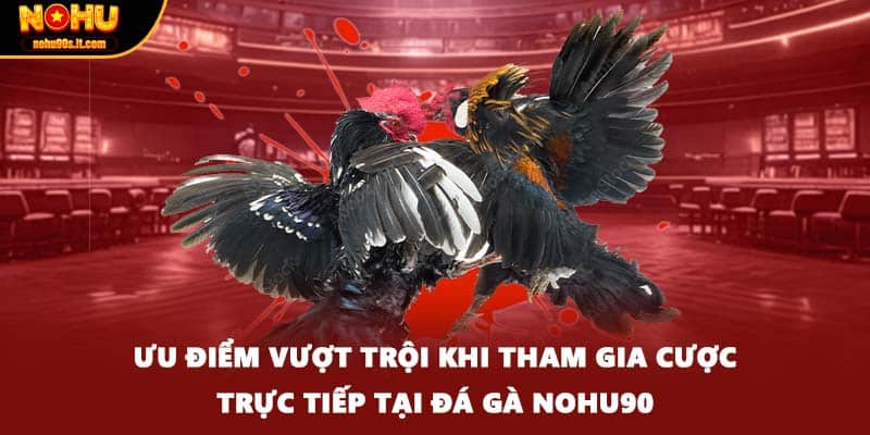 Ưu điểm vượt trội khi tham gia cược trực tiếp tại đá gà Nohu90